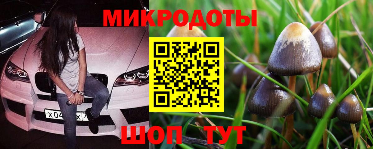 цены   Вход с VPN  Галлюциногенные грибы MAGIC MUSHROOMS  Светлоград  Псилоцибиновые грибы GOLDEN TEACHER 