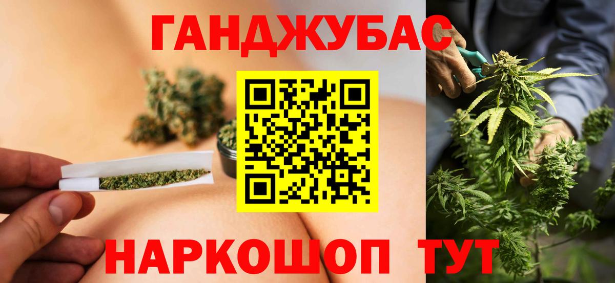Каннабис план Светлоград